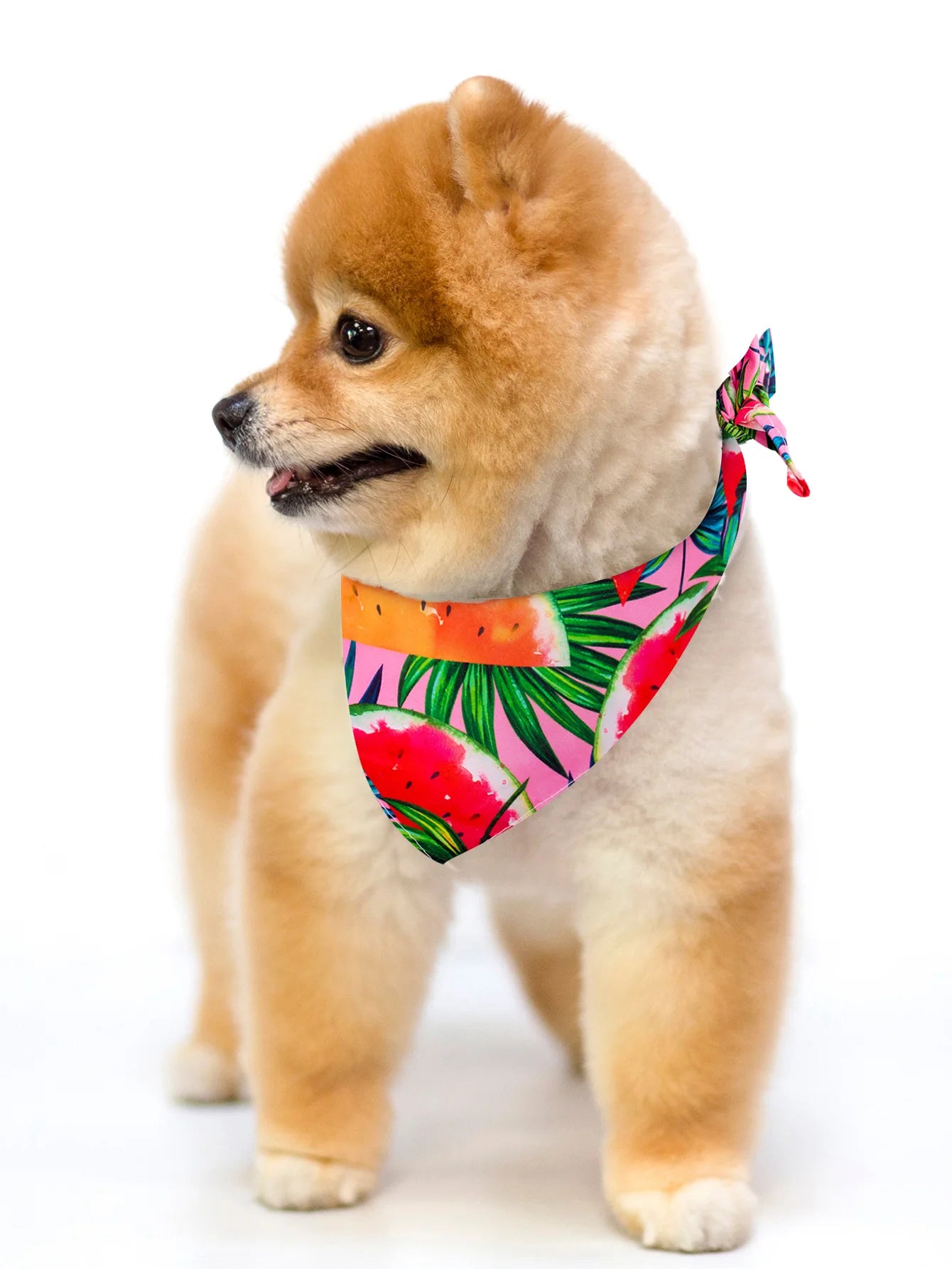 PawScarf™ | Cotton Bandana Scarf for Dogs & Cats