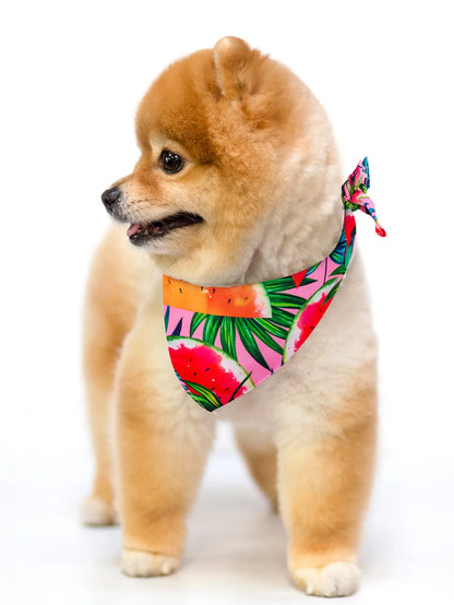 PawScarf™ | Cotton Bandana Scarf for Dogs & Cats